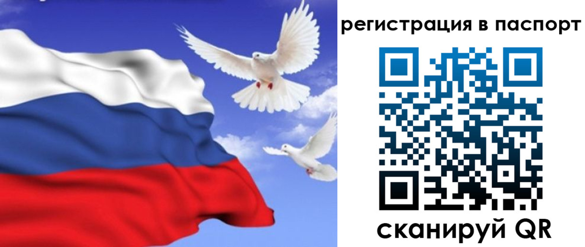купить прописку в Юрьевце